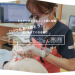 歯科衛生士募集のお知らせ